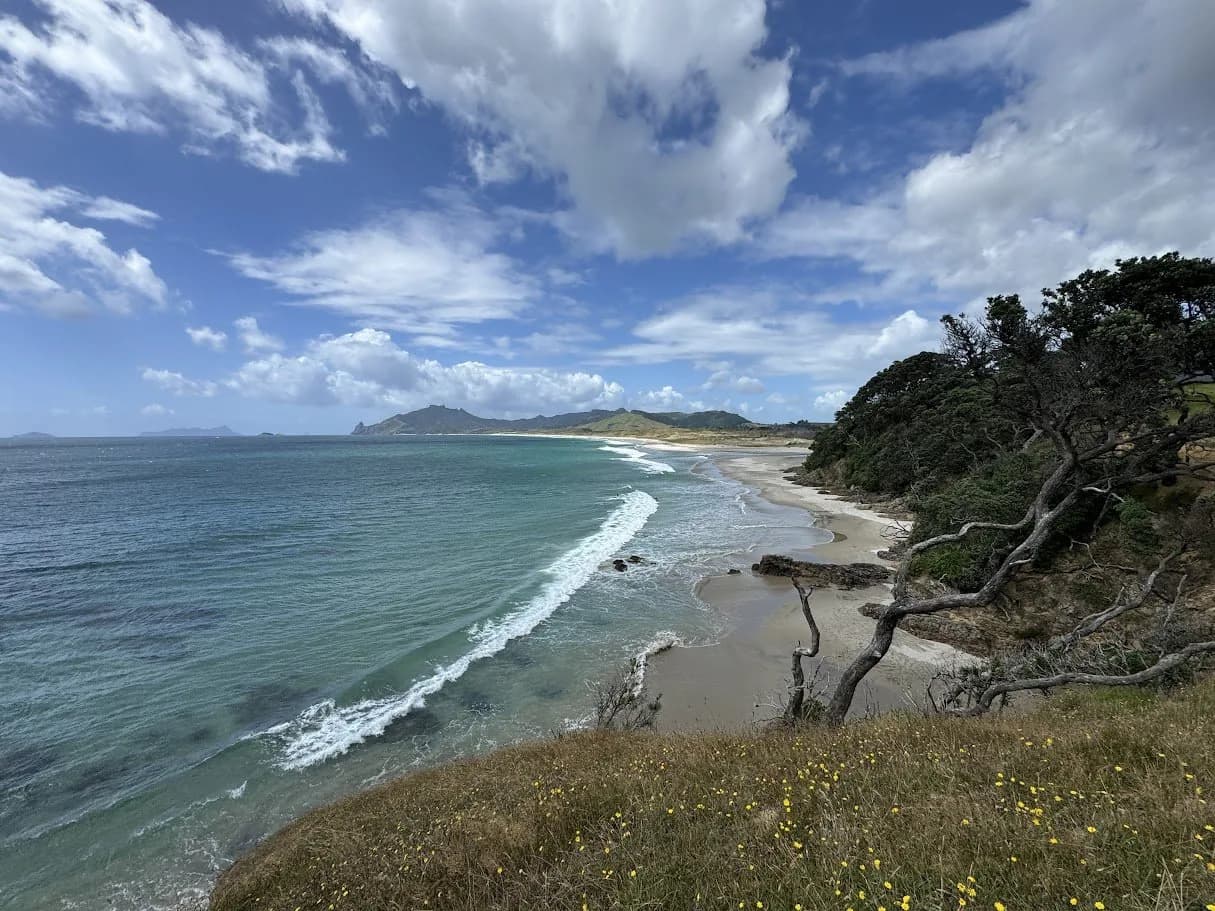 kauri mountain beach.jpg