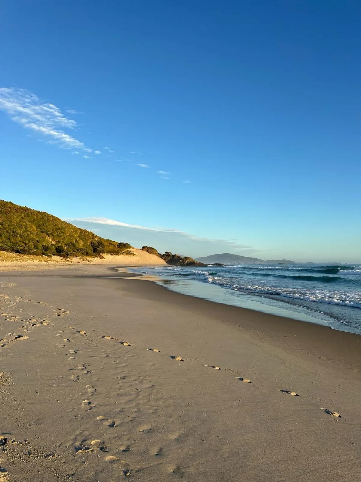 ocean beach north.jpg