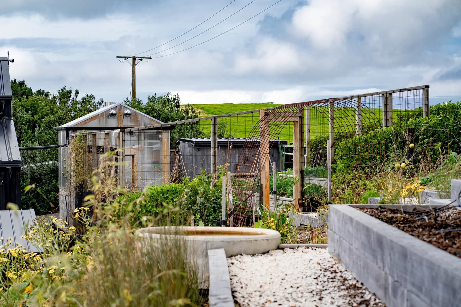 HiTech Hippies-garden path-001.jpg