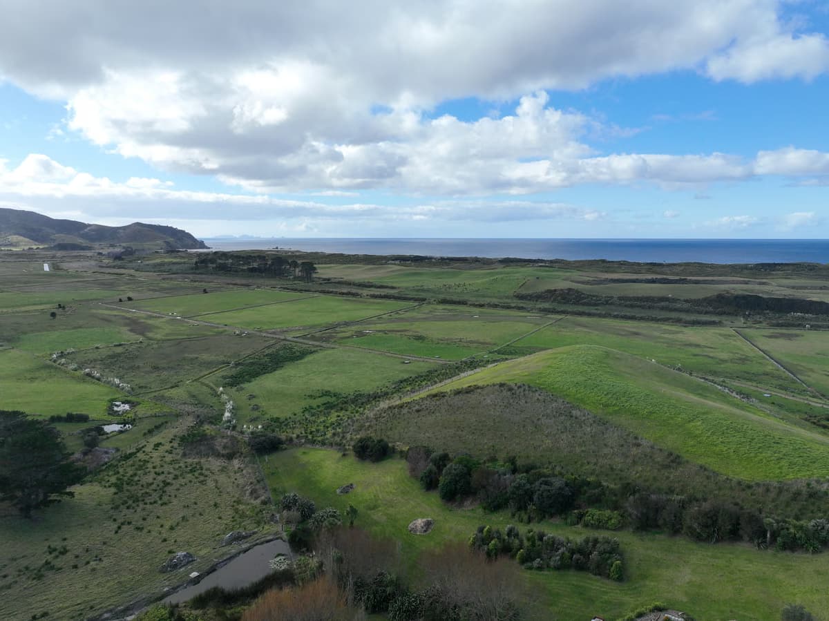 View from Āhuru Mōwai across neighbouring paddocks towards Ocean Beach and Kauri Mountain