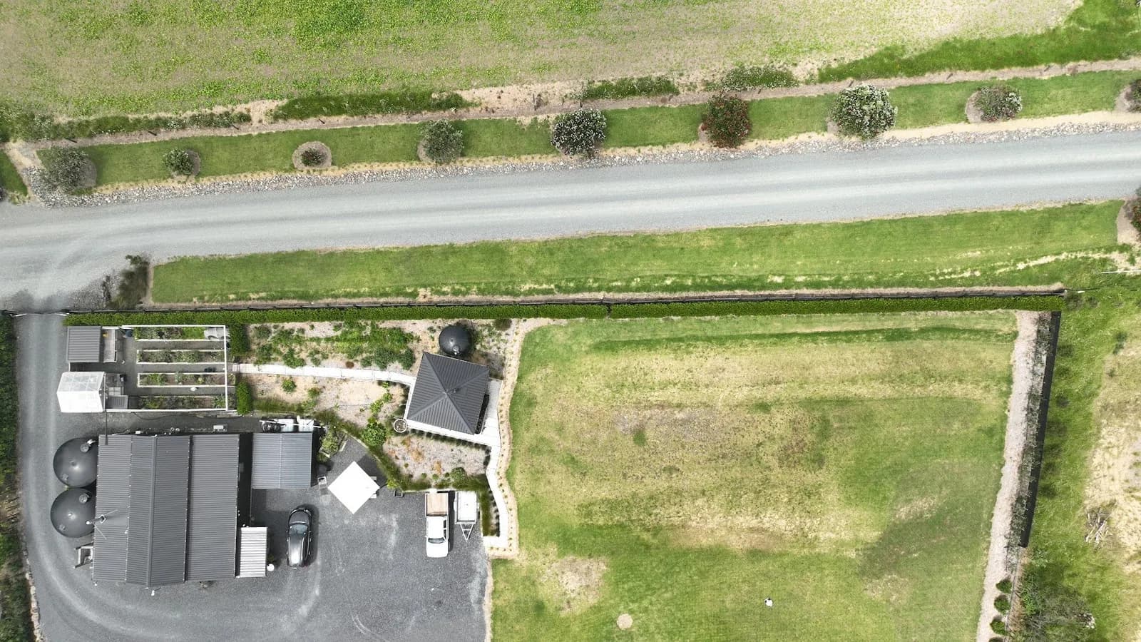 From creating Minecraft worlds to curating a living ecosystem