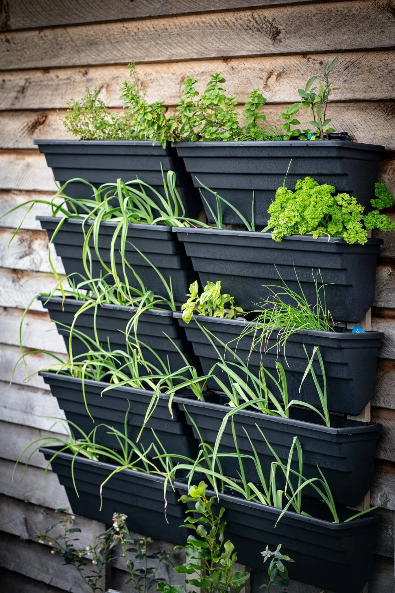 HiTech Hippies-hanging herbs-003.jpg