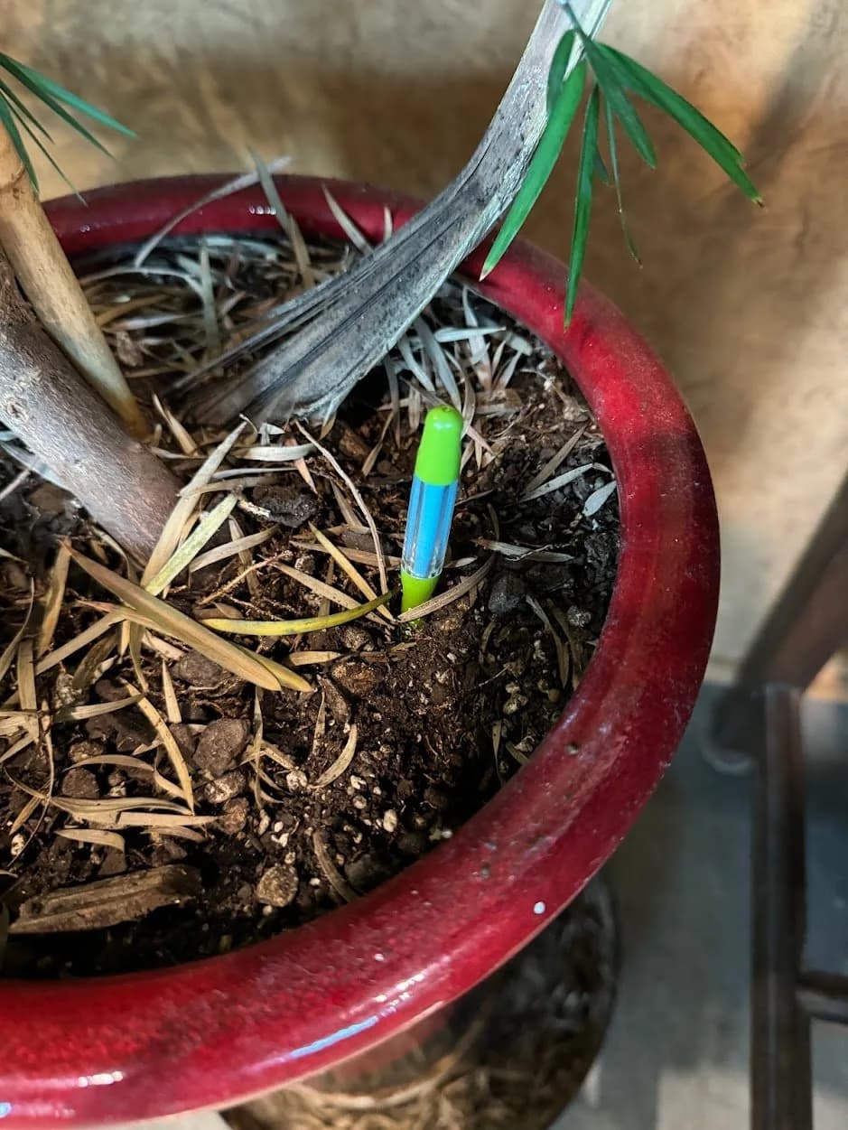 blue water checker.JPG