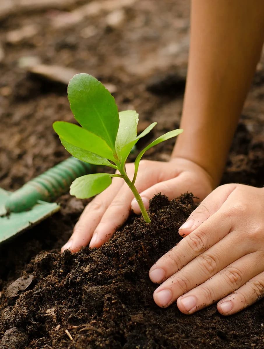 Giving Kiwi kids the chance to learn in outdoor garden classrooms