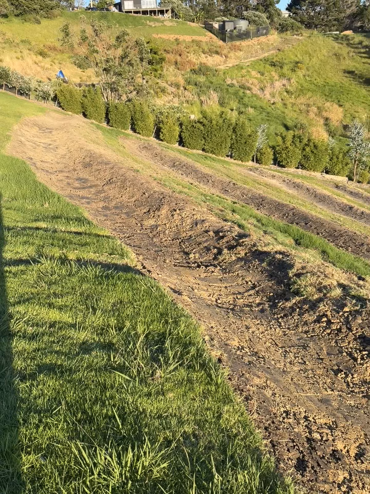 Muddy swale track after earthworks, with the slope, grass, and shelter planting around it