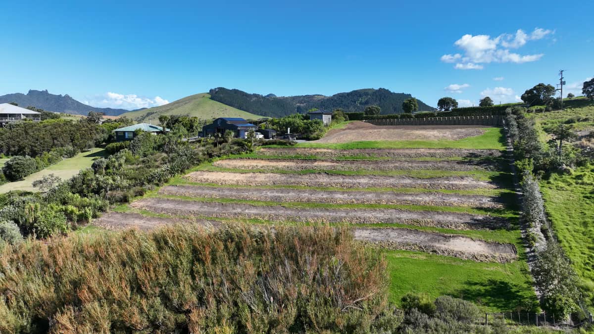 Rebuilding soil on a clay hillside