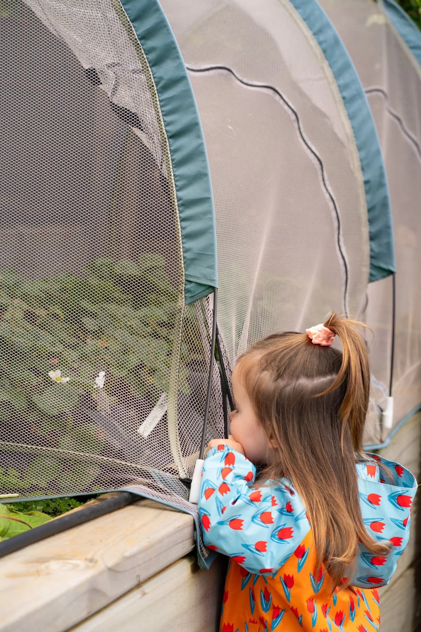 HiTech Hippies-sneaking strawberries.jpg