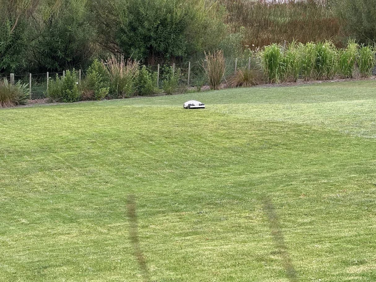 Why a robot mows our lawns