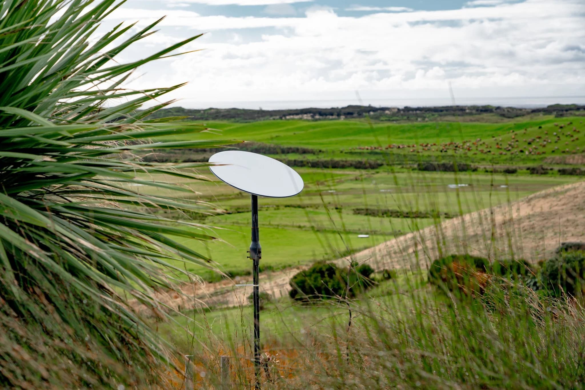 Starlink dish on the hill