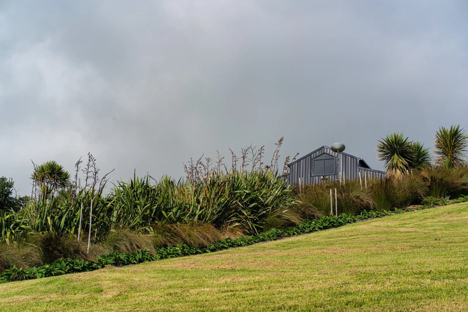 Our barn and grasslands