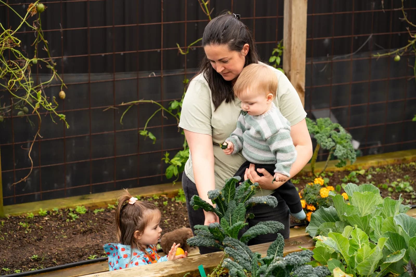 In the garden at our property